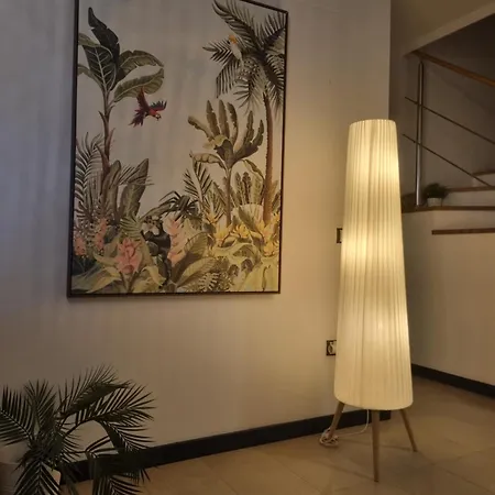 Azotea De 아파트 Cotillo